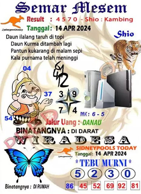 SYAIR SDY VIP